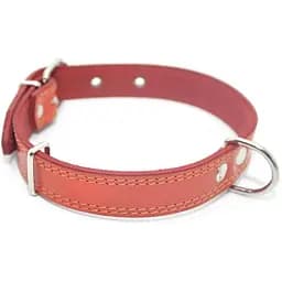 Нашийник для собак Zoo-hunt шкіряний подвійний червоний ОД 3,5/44-55 см
