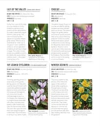 Grow Shade Garden. Essential Know-how and Expert Advice for Gardening Success - мініатюра 11