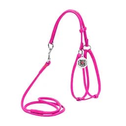 Шлея для собак кожаная Waudog Glamour круглая, с поводком для мелких пород собак и кошек, Д 6 мм, XS, А 26-46 см, В 30-50 см (4820152566003)