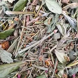 100 г збір-чай нирковий-жовчний (нефрит,пієлонефрит, гломерулонефрит)