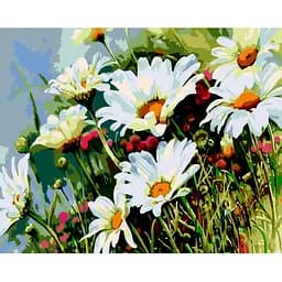 Картина за номерами ZiBi Art Line Польові ромашки 40х50 см (ZB.64151)