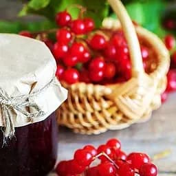 Саджанець Agro-Market Калина червона 1 шт. в пакуванні (15973)