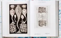 The Art and Science of Ernst Haeckel - мініатюра 8