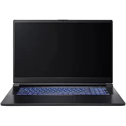 Ноутбук DreamMachines G1650-17EU95 i7-13700H 17.3” /GTX1650/500 GB M.2 /16 GB