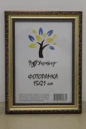 Фоторамка 15х21, золото-коричнева із золотим обрамленням, 333-х811-10, Скло + Картон