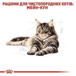 Сухий корм для дорослих котів мейн-кун Royal Canin Maine Coon Adult, з м'ясом птиці, 0,4 кг - мініатюра 3