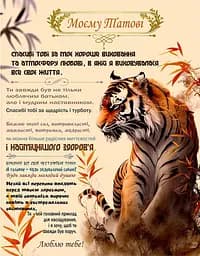 Плед плюшевий 3D зі своїми побажаннями Сили і захисту татові 160х200 см
