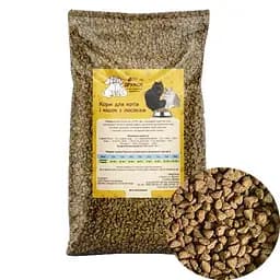 Сухий корм Дружок Економ класу гіпоалергенний для котів з лососем 5кг