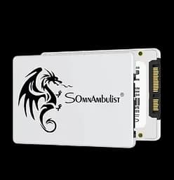 SSD 2.5" накопитель Somnambulist 256GB (SMNBLST256GB)
