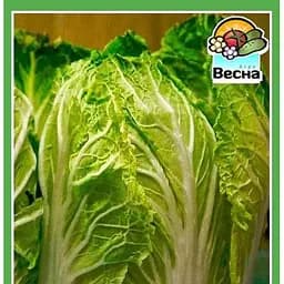 Насіння Весна Капуста Пекінська 0.3 г (10332)