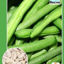 Фасоль спаржевая "Зеленая" ТМ "Весна" 2г (10767)