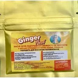 Дезодорант сухой Ginger Fresh 20 г для туалетов (30703)