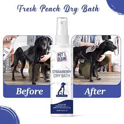 Сухий шампунь Pet Clean Dry Bath Strawberry для домашніх тварин з ароматом полуниці 250 мл - мініатюра 6