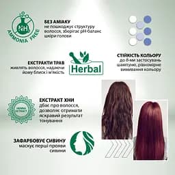 Гель-фарба Acme Color Beauty Phyto Color відтінок 655 винний 60 мл - мініатюра 4