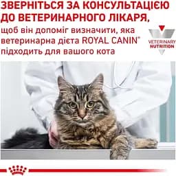 Вологий корм Royal Canin Gastrointestinal для котів при порушенні травлення 85 г - мініатюра 7