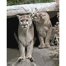 Набір для розпису по номерах Грайливі пуми, Strateg, 40x50 см, DY122