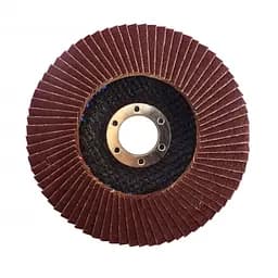 Диск лепестковый Werk P120 Т27 плоский 125 х 22.2 мм (35220)