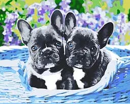 Набір для розпису по номерах Двоє малят, Strateg, 30x40 см, LY47