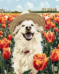 Набір для розпису по номерах Щасливий лабрадор, 40x50 см, КНО6623