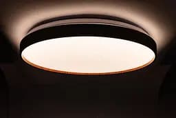 Стельовий світильник FOREST зоряне небо 80W 480*65мм з д/к - мініатюра 5