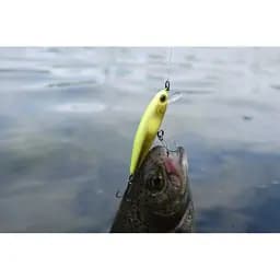 Воблер Jackall Tiny Fry 65SP 65mm 5.6g Ghost Perch - мініатюра 4
