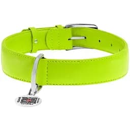 Нашийник для собак Waudog Glamour, шкіряний, з QR паспортом, 46-60х3,5 см, салатовий - мініатюра 2