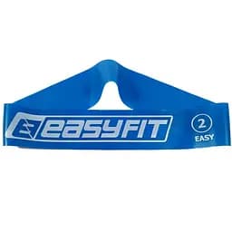 Гумове кільце для фітнесу EasyFit №2 (EF-1813-2)