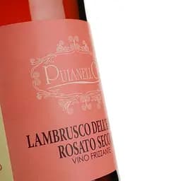 Вино ігристе Puianello Lambrusco dell'Emilia Rosato Secco IGT рожеве сухе 0.75 л - мініатюра 3
