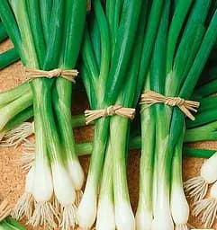 Насіння Весна на вагу Цибуля-батун Піканте ціна за 3 г (177347)