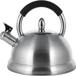 Чайник Kamille 2.7 л (KM-1097)