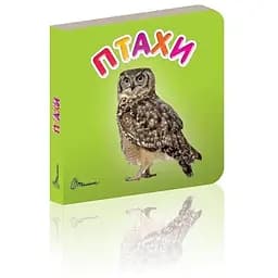 Книга Птахи (Талант)