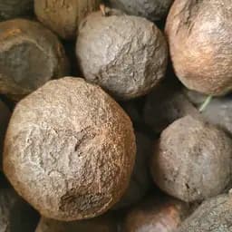 100 г черный орех плоды сушеные - свежий урожай