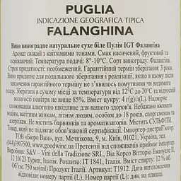 Вино 11.11.11 Falanghina Puglia IGT біле сухе 0.75 л - мініатюра 4