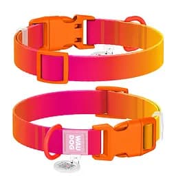 Нашийник для собак з нейлону Waudog Nylon Recycled з QR-паспортом градієнт пластиковий фастекс XL Ш 25 мм Д 37-58 см