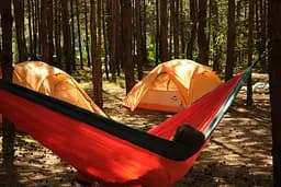Гамак Naturehike (NH21DC011) помаранчевий - мініатюра 3