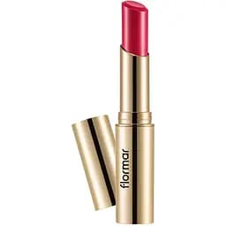 Помада для губ Flormar Deluxe Cashmere Stylo відтінок 24 R.Boston 3 г (8000019545278)