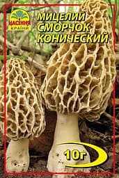 Сморчок конічний 10 г