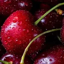 Саджанець Agro-Market Черешня Джерело (літній сорт, ранній термін дозрівання) (39899) 1 шт. в упаковці