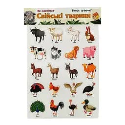 Набор магнитов на листе "Домашние животные" Artos 1243ATS Укр. 20 шт.