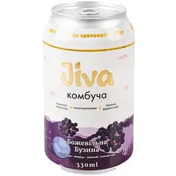 Напиток Jiva Комбуча  Сумасшедшая бузина с соком бузины 0.33 л