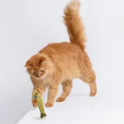 Іграшка для котів Barksi Шпроти з котячою м'ятою та дзвіночком 16.5 см 3 шт. - мініатюра 9