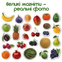 Набір магнітів Magdum Фрукти і ягоди ML4031-11 EN - мініатюра 4