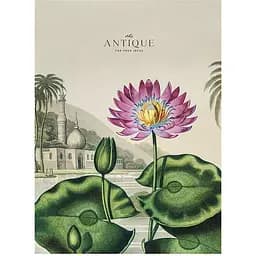 Тетрадь общая Student водяная лилия А4 в линию 80 листов (A4-080-5079L)