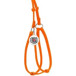 Шлея з повідцем для собак Waudog Glamour, шкіряна, кругла, з QR паспортом, 42-60х46-64х0,6/105 см, помаранчевий (34024) - мініатюра 2