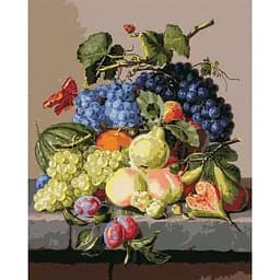 Картина за номерами "Оксамитовий натюрморт" ©Amalie Kärcher Ideyka KHO5655 40x50 см