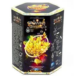 Дитячий набір для дослідів GROWING CRYSTAL Danko Toys GRK-01 укр Amber