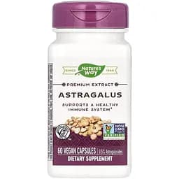 Екстракт кореня астрагалу Nature's Way Astragalus, 60 вегакапсул для підтримки імунної системи