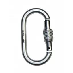 Карабин First Ascent Ovum Keylock (1060-FA 8007)