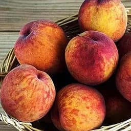 Саджанець Agro-Market Персик Ерлі Хрест (літній сорт, дуже ранній термін дозрівання) (25788) 1 шт. в упаковці