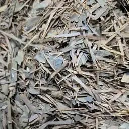 100 г муравьиного дерева кора / лапачо сушеная - свежий урожай